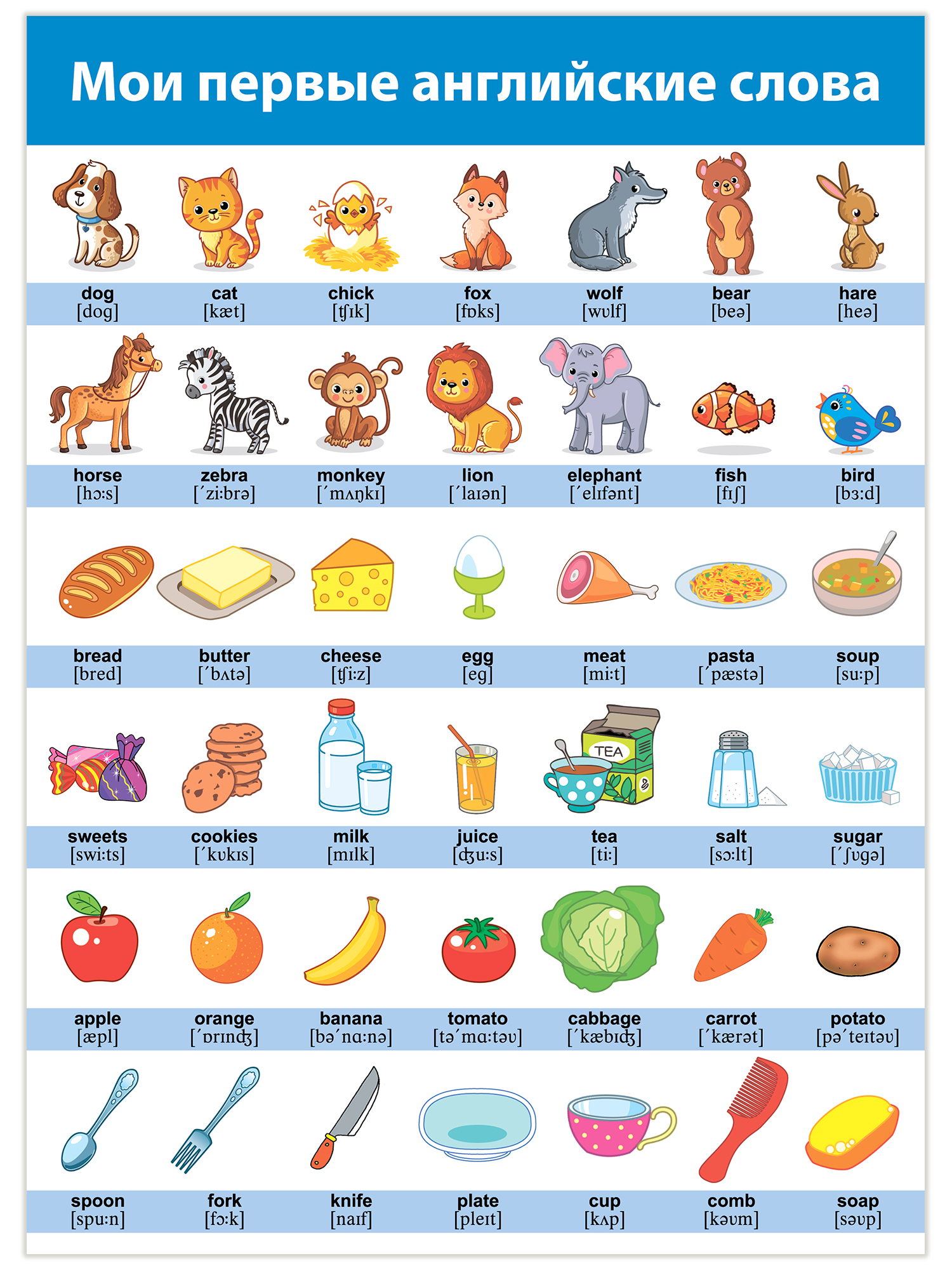 Плакат Дрофа-Медиа 8 шт - фото 9