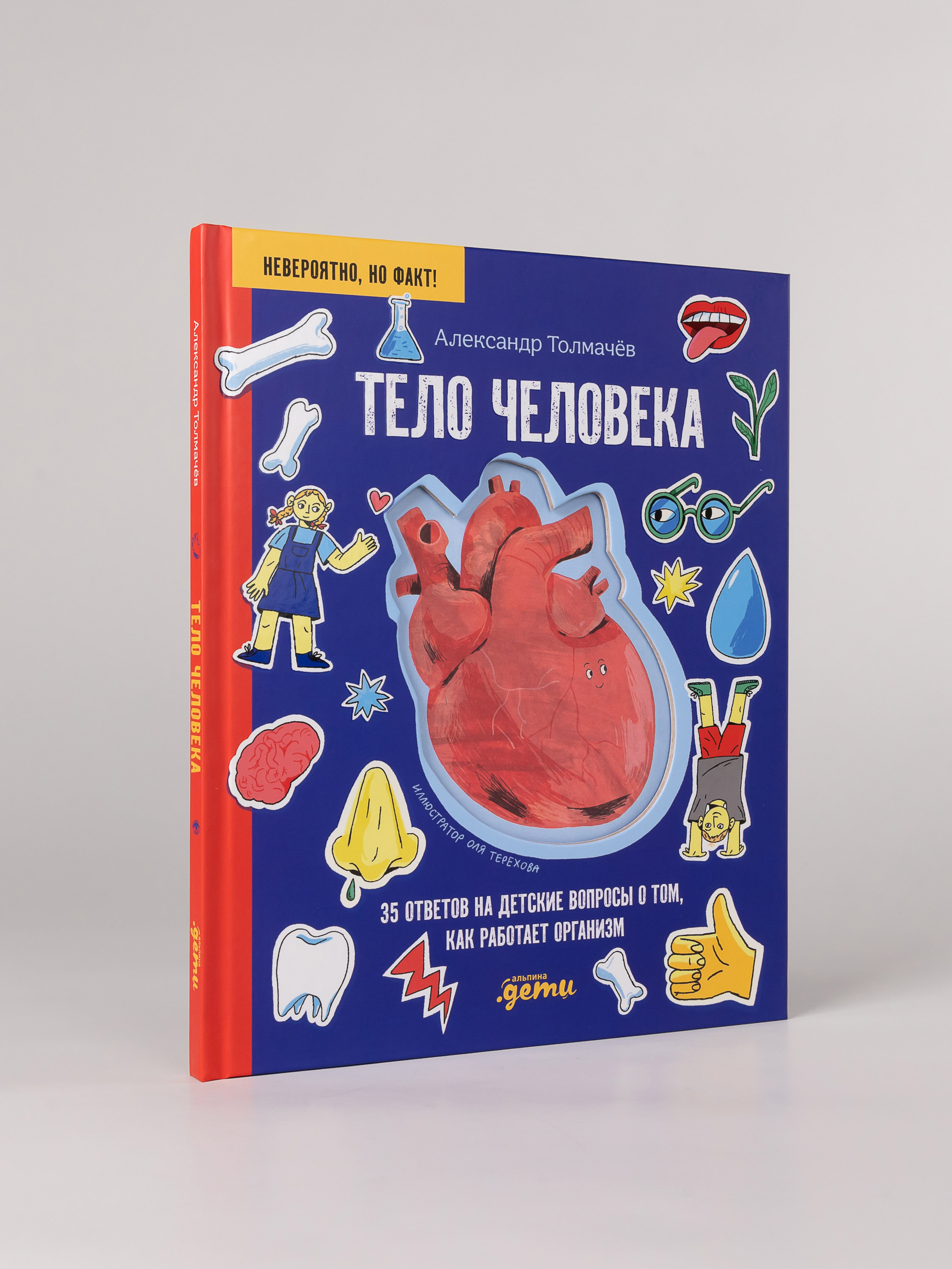 Книга Альпина. Дети Тело человека 35 ответов на детские вопросы - фото 3