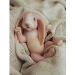 Кукла мини Magic Manufactory Magic history Зайчонок розовый высота 15 см