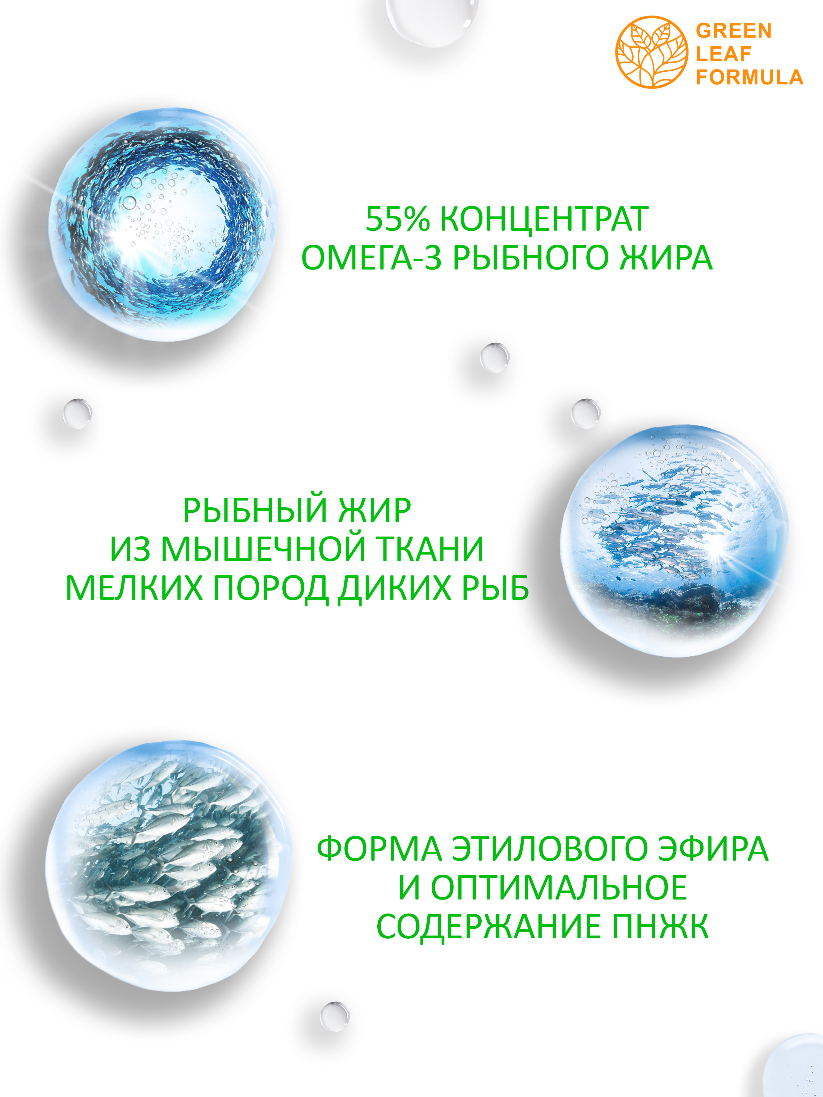 Омега 3 капсула веган Green Leaf Formula рыбий жир витамины для детей от 3 лет и взрослых вегетарианская - фото 4