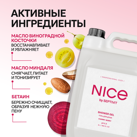 Гель NICE by Septivit Cherry Berry 5000 мл