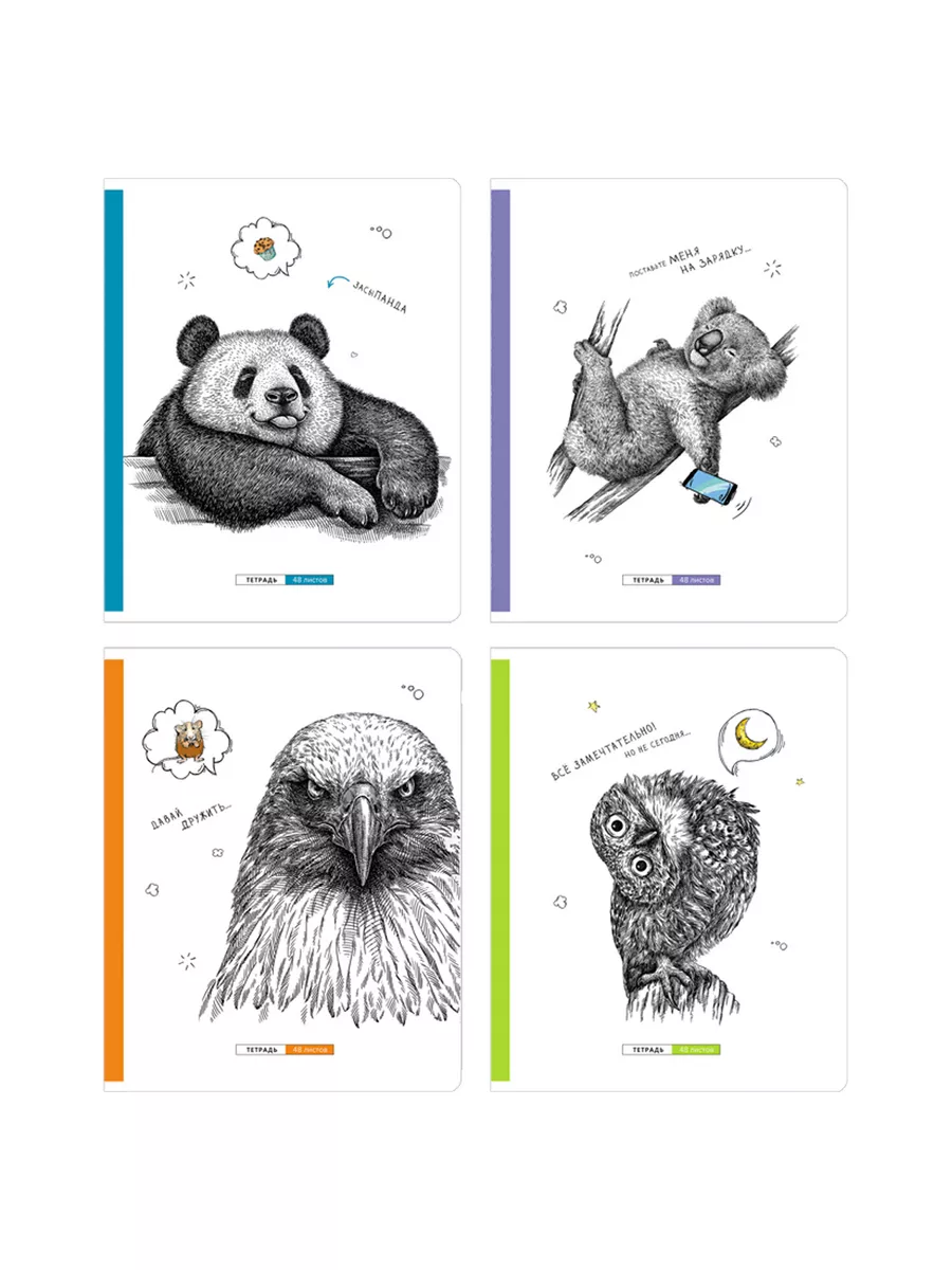 Тетрадь BG клетка 48 лист. 4 шт. - фото 1