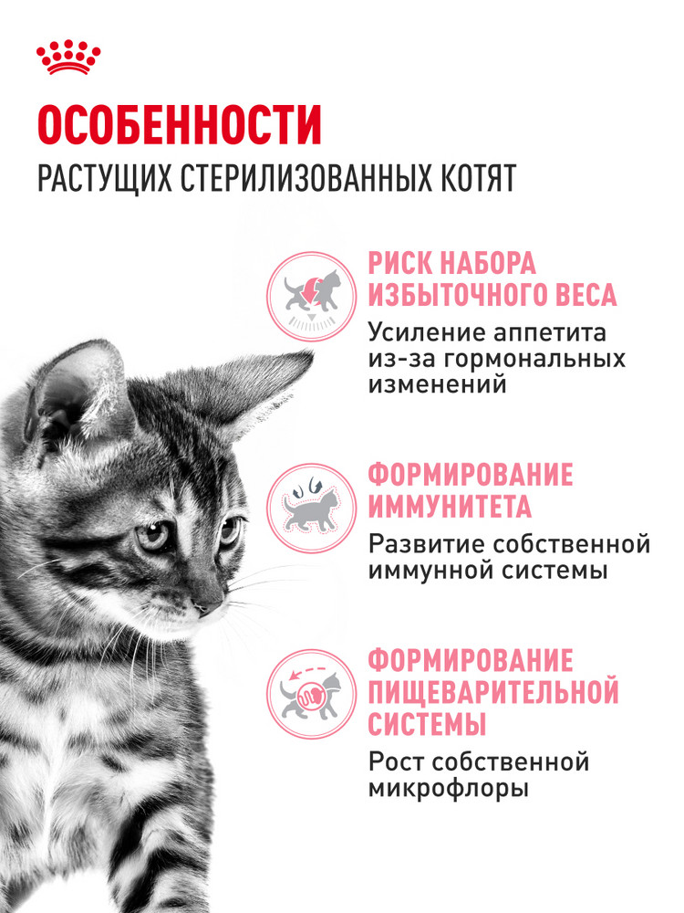 Корм сухой для котят ROYAL CANIN Sterilised 3.5кг стерилизованных - фото 2