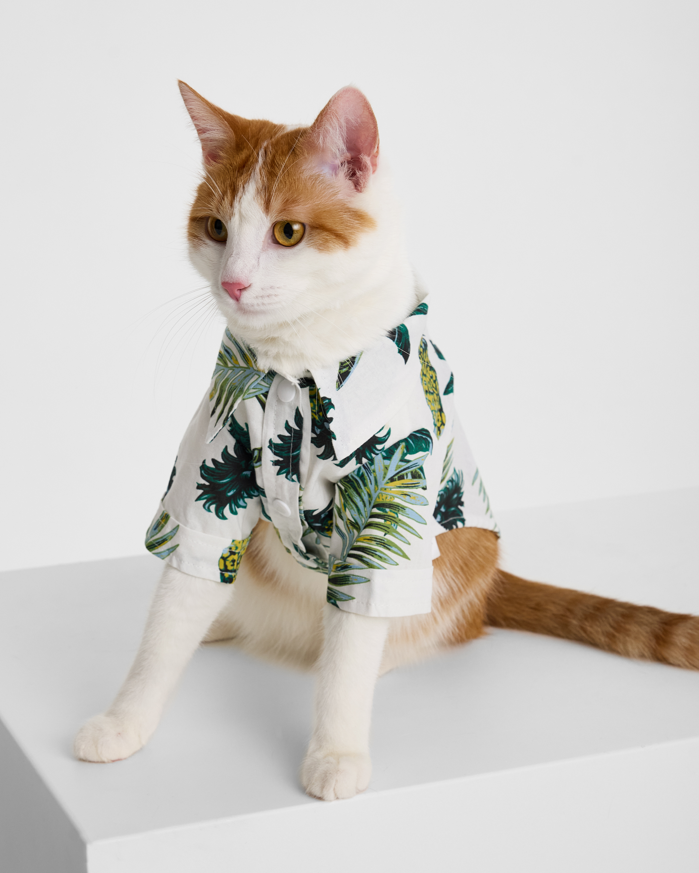 Рубашка для собак и кошек Зоозавр - фото 10