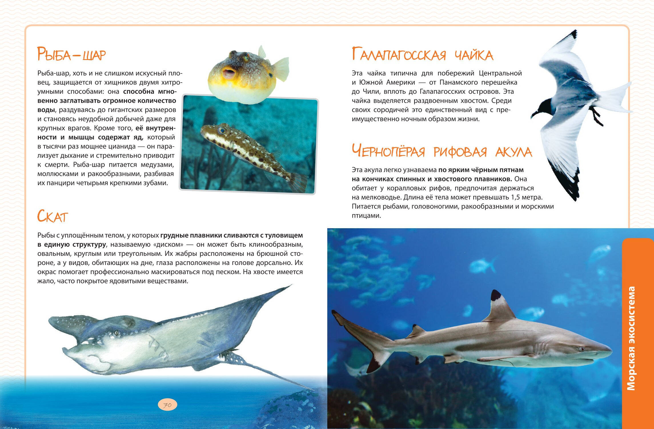 Книга Эксмо Животные Большая экспедиция вокруг света - фото 6