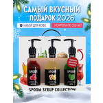 Набор сиропов SPOOM Имбирь Малина Мята для чая и коктейлей 3шт 250мл + 3 дозатора