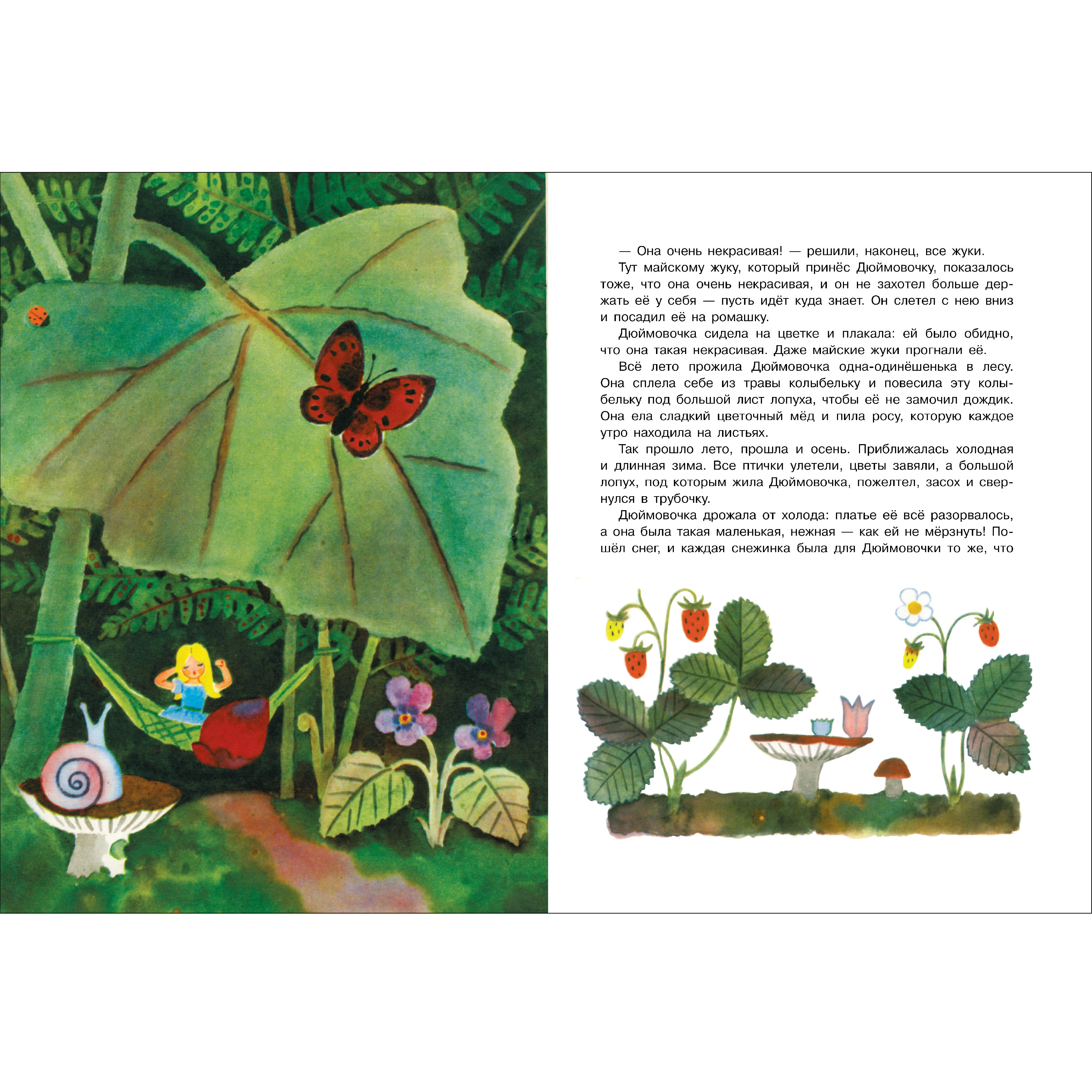 Книга СТРЕКОЗА КНД - фото 2