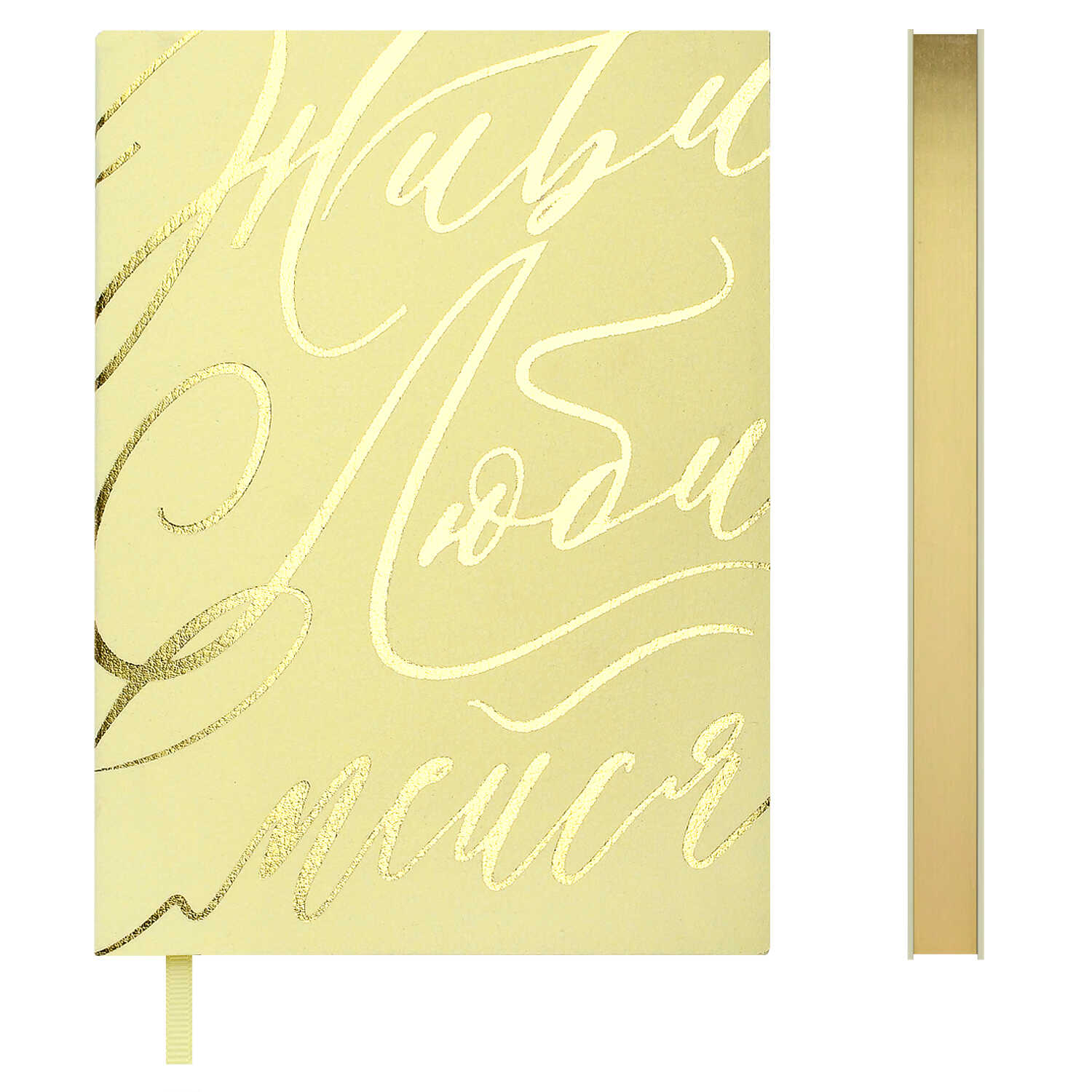 Ежедневник Феникс + ESCALADA 120 лист. - фото 1