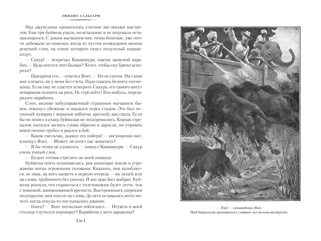 Книга АЗБУКА Коварный брамин из Ассама Гибель империи Реванш Янеса - фото 14