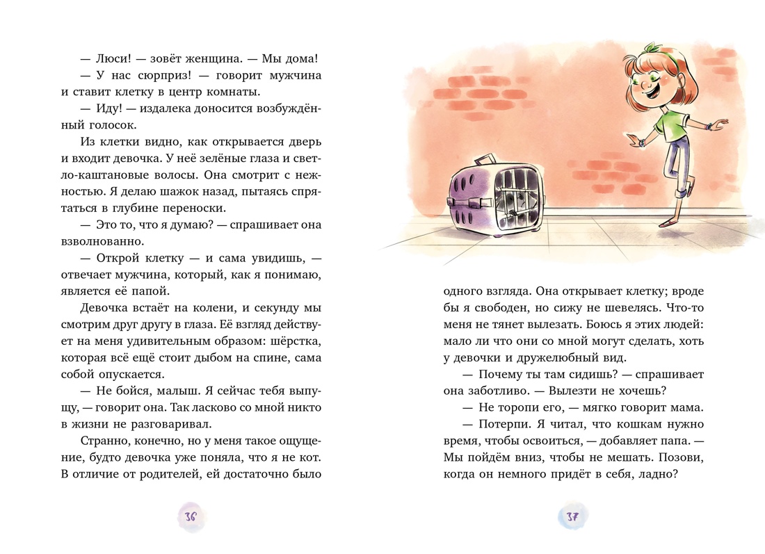 Книга Махаон Друзья и детективы/Галли С./Маффин. Мой друг енот (цв.илл.) - фото 10