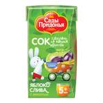 Сок Сады Придонья Яблоко-Слива с 5 мес 0.125 л