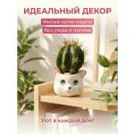 Искусственные цветы SOFANNA кошка 1 2 суккулент силикон