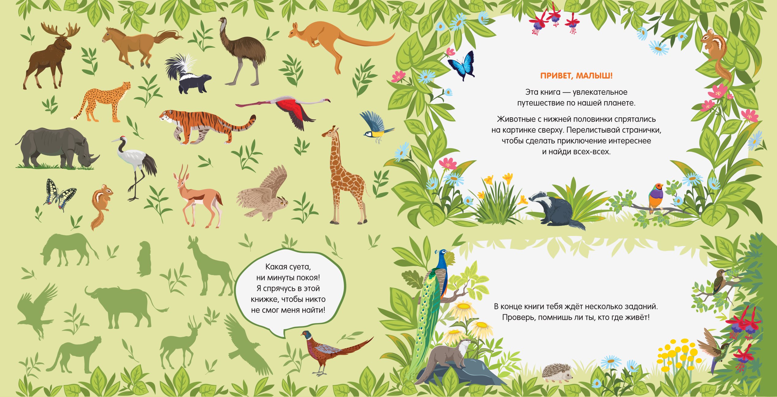 Книга АСТ Найди 101 животное В зоопарке - фото 2