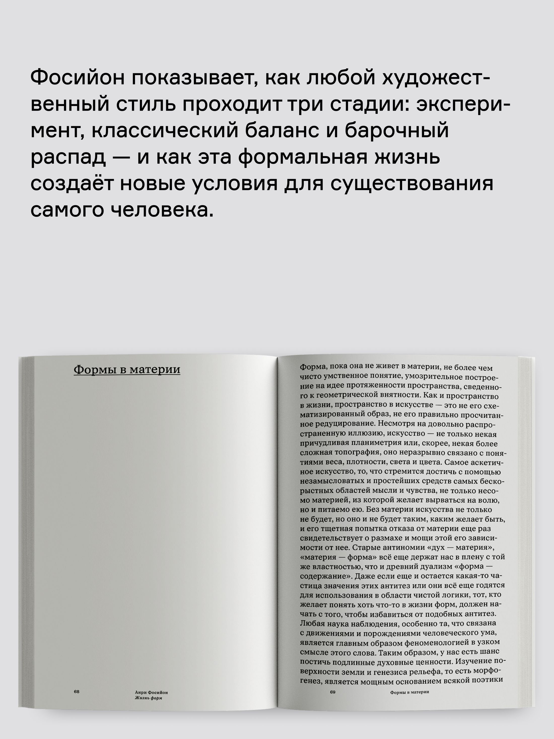 Книга Ad Marginem Жизнь форм - фото 5
