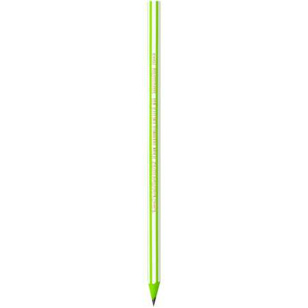 Карандаши чернографитные BIC