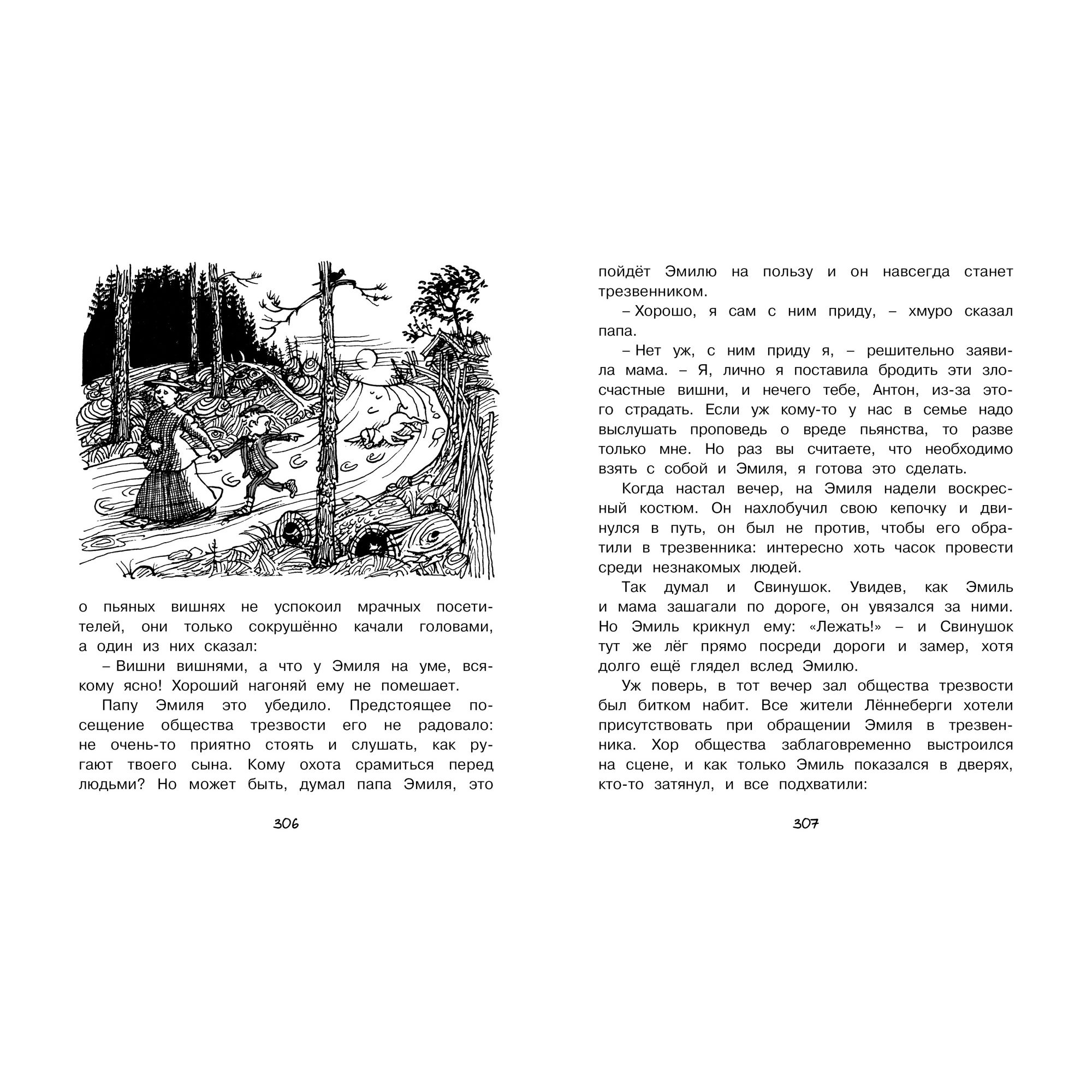 Книга МАХАОН Приключения Эмиля из Лённеберги (иллюстр. Б. Берга) - фото 4