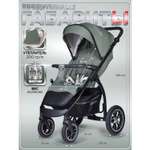 Коляска прогулочная BabyCare Venga хвойный бархат хаки