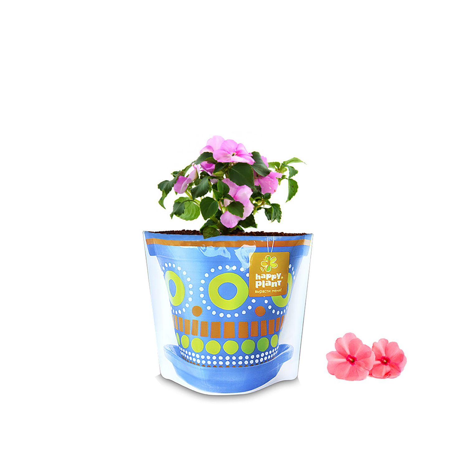 Набор для выращивания Happy Plant - фото 3