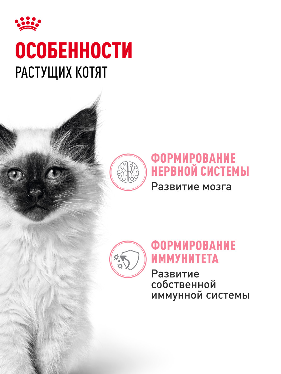 Корм влажный для котят ROYAL CANIN Kitten 85г кусочки в соусе 77851 - фото 2