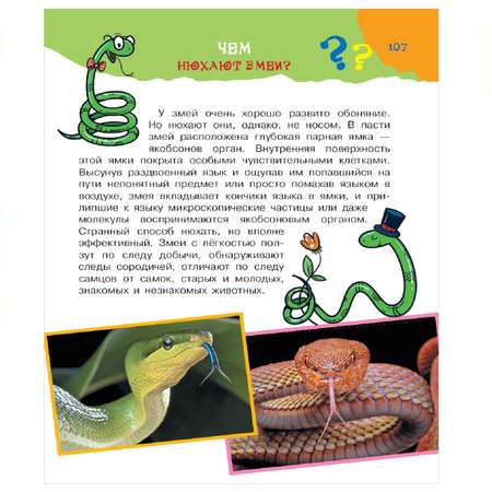 Энциклопедия АСТ Большая книга почему