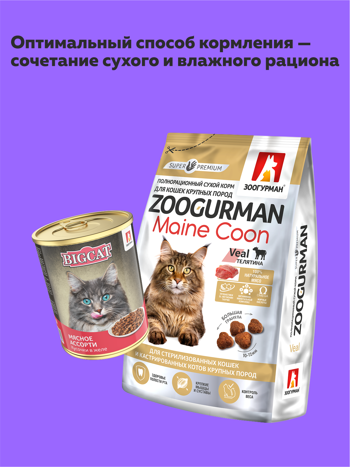 Корм влажный Зоогурман Big Cat Мясное ассорти 350 гр х 12 шт - фото 5
