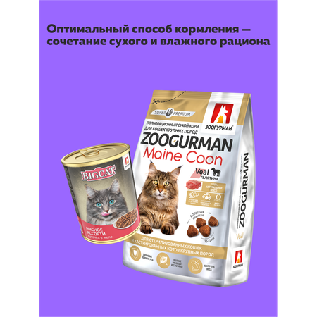Корм влажный Зоогурман Big Cat Мясное ассорти 350 гр х 12 шт