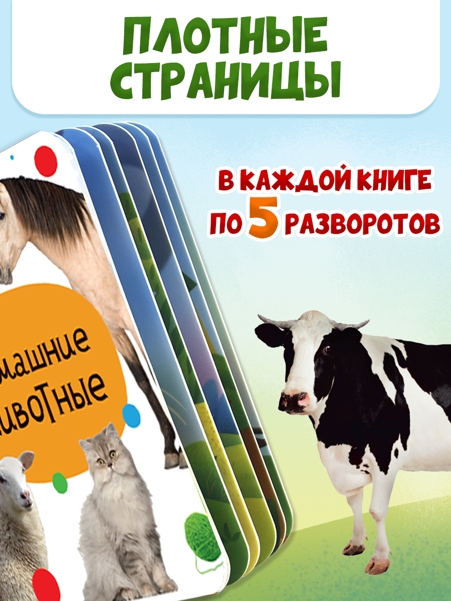 Книжки Проф-Пресс картонные мини. развивающие для малышей. Набор из 4 шт. Первые слова - фото 2