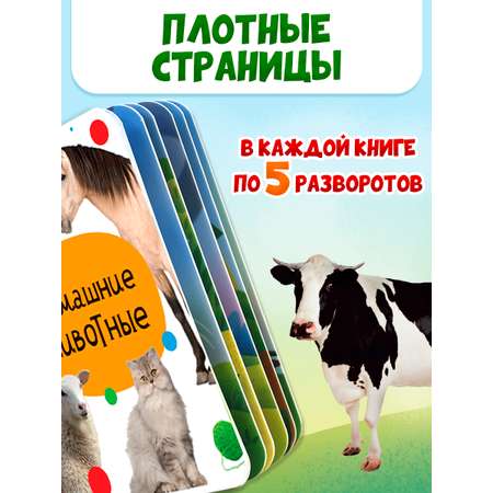 Книжки Проф-Пресс картонные мини. развивающие для малышей. Набор из 4 шт. Первые слова