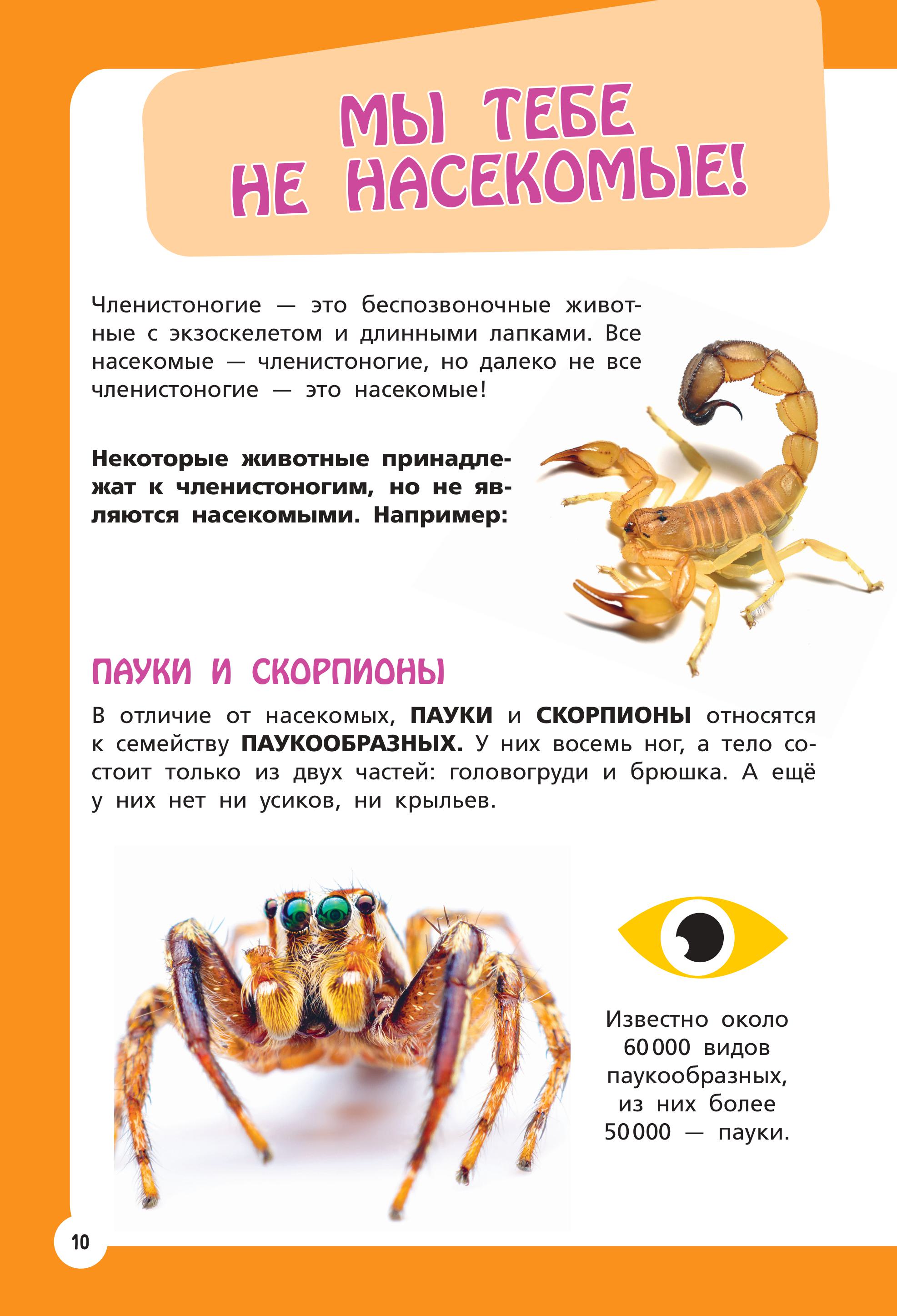Книга Эксмо Самые необычные животные и места мира - фото 9