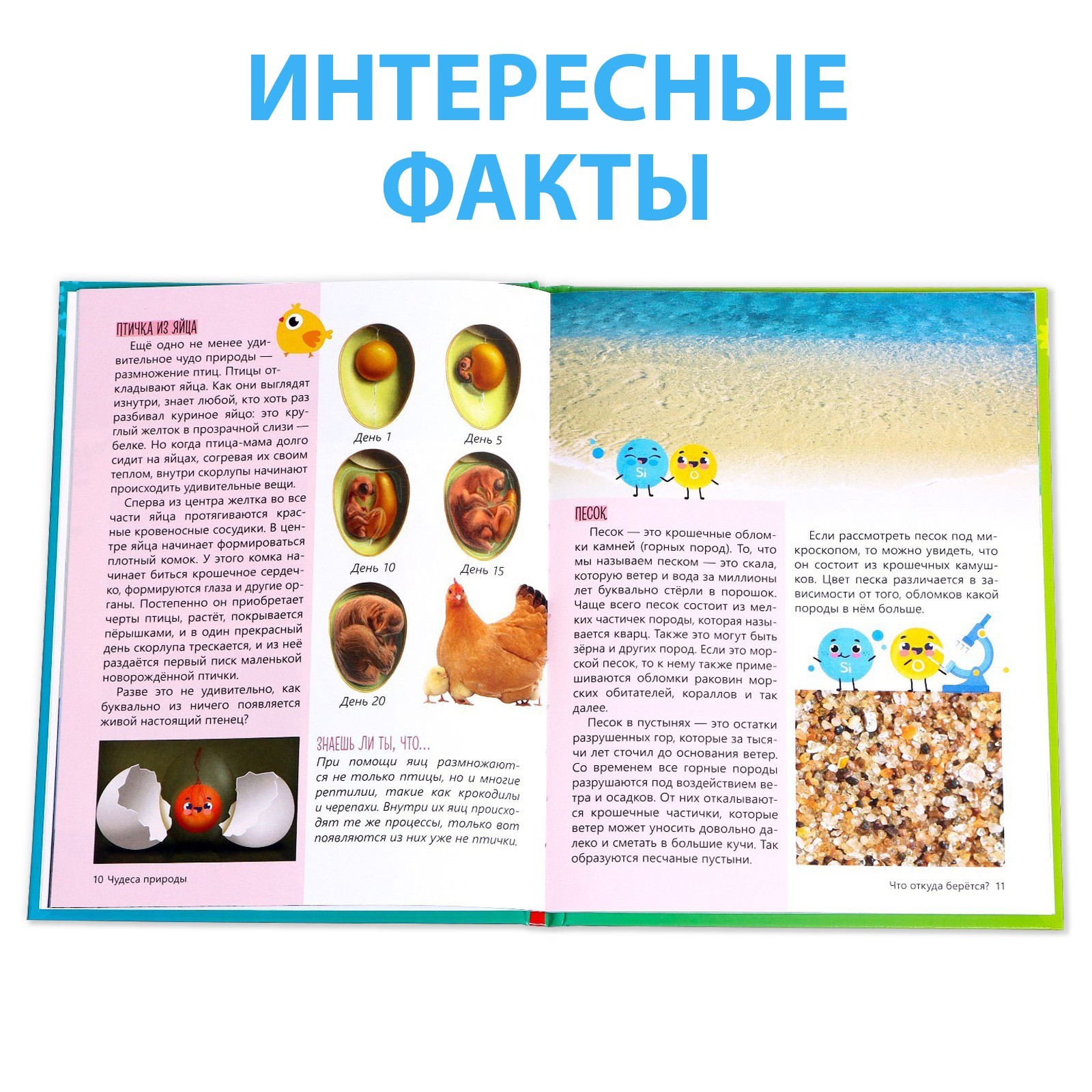 Энциклопедия в твёрдом переплёте Буква-ленд «Что откуда берётся?» 64 стр. - фото 6