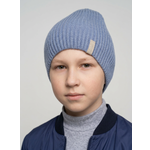 Шапка Arctic kids
