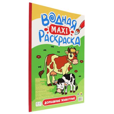 Раскраска Проф-Пресс Водная Макси. Домашние животные