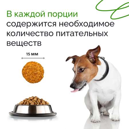 Корм сухой DOGSY с курицей рисом и морковью 3 кг