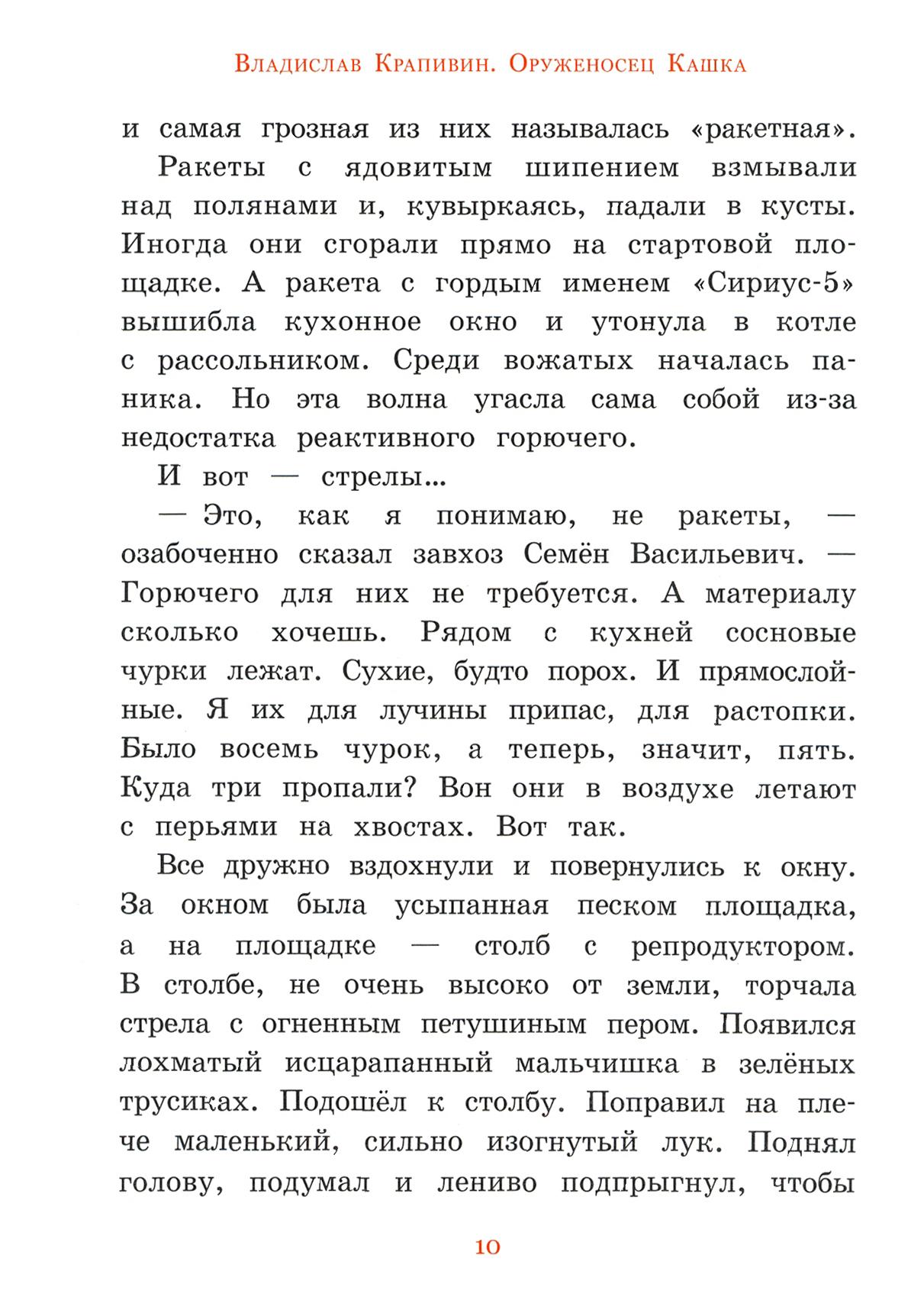 Книга Лабиринт Оруженосец Кашка - фото 7