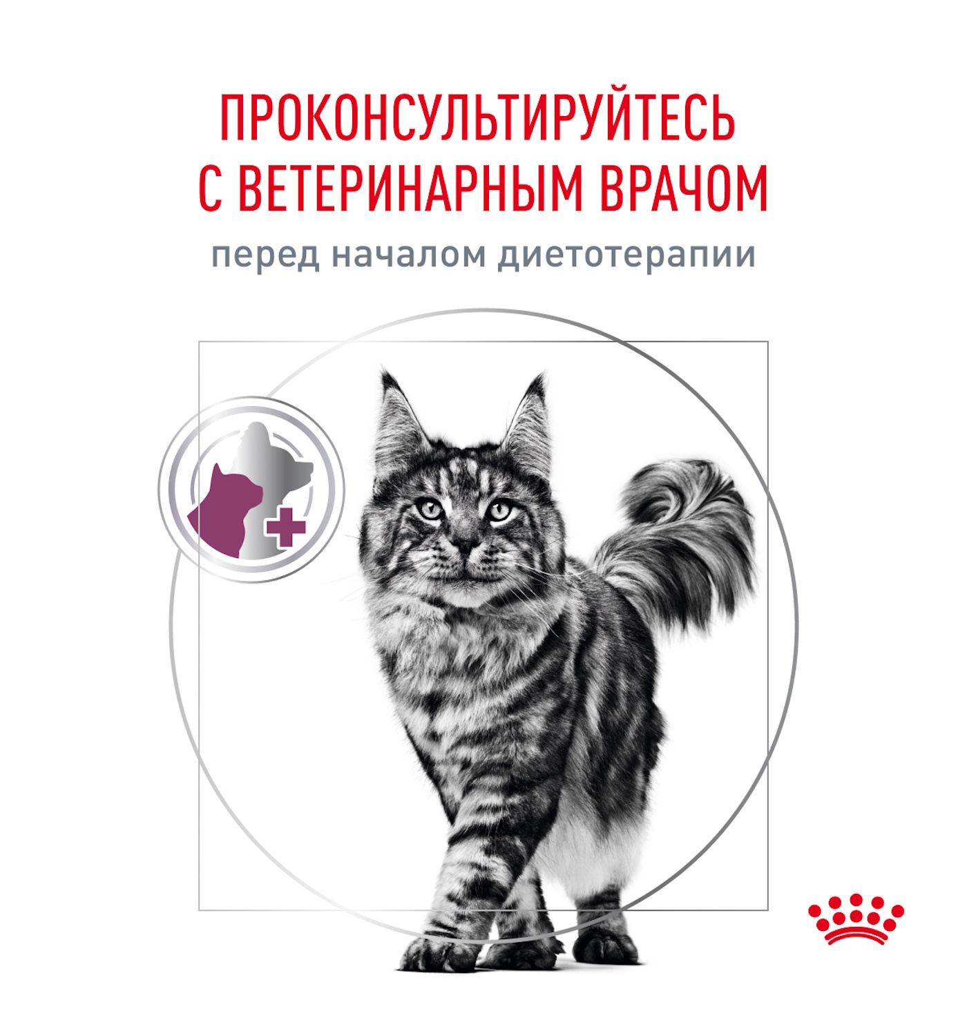 Корм для кошек ROYAL CANIN Renal RF23 лечение заболеваний почек 2кг - фото 10