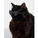 Изображение товара Очки для собак и кошек Зоозавр: Б/Р