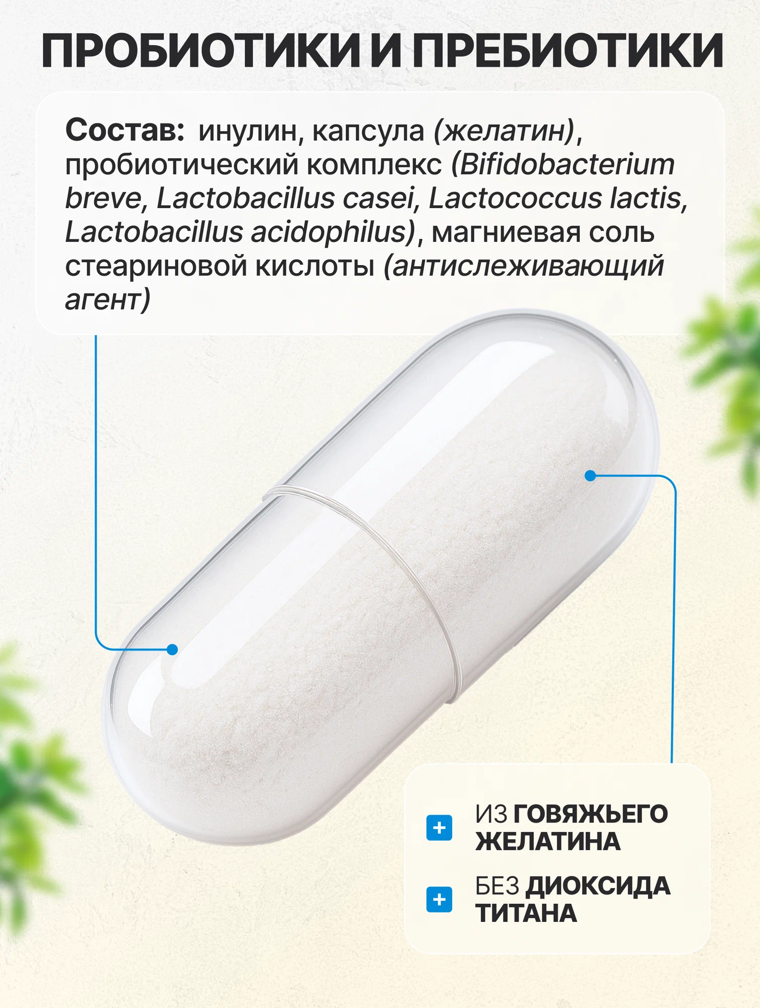 Биологически активная добавка VitaMeal Пробиотики и Пребиотики комплекс с Инулином для ЖКТ 60 капсул - фото 6