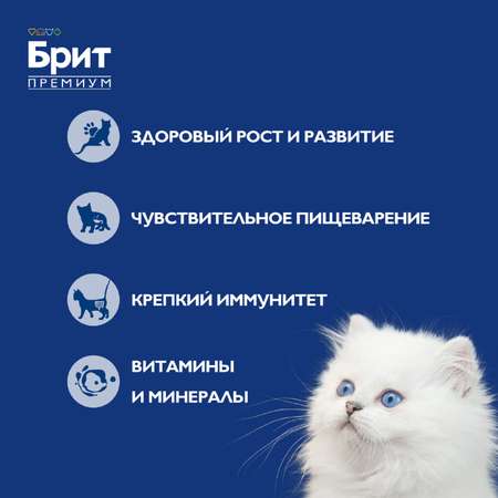 Корм для котят Brit Премиум из телятины риет 100г