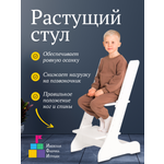Стульчик для кормления Ижевская Фабрика Игрушек классический