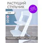 Стульчик для кормления Alubalu трансформер