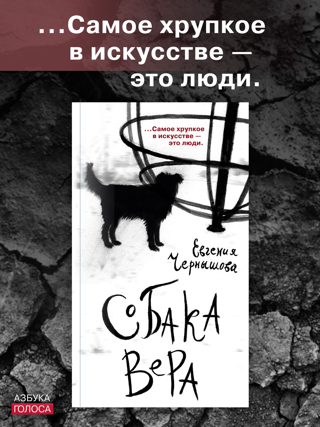 Книга АЗБУКА Азбука Голоса Чернышова Е Собака Вера - фото 5