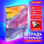 Тетрадь Brauberg клетка