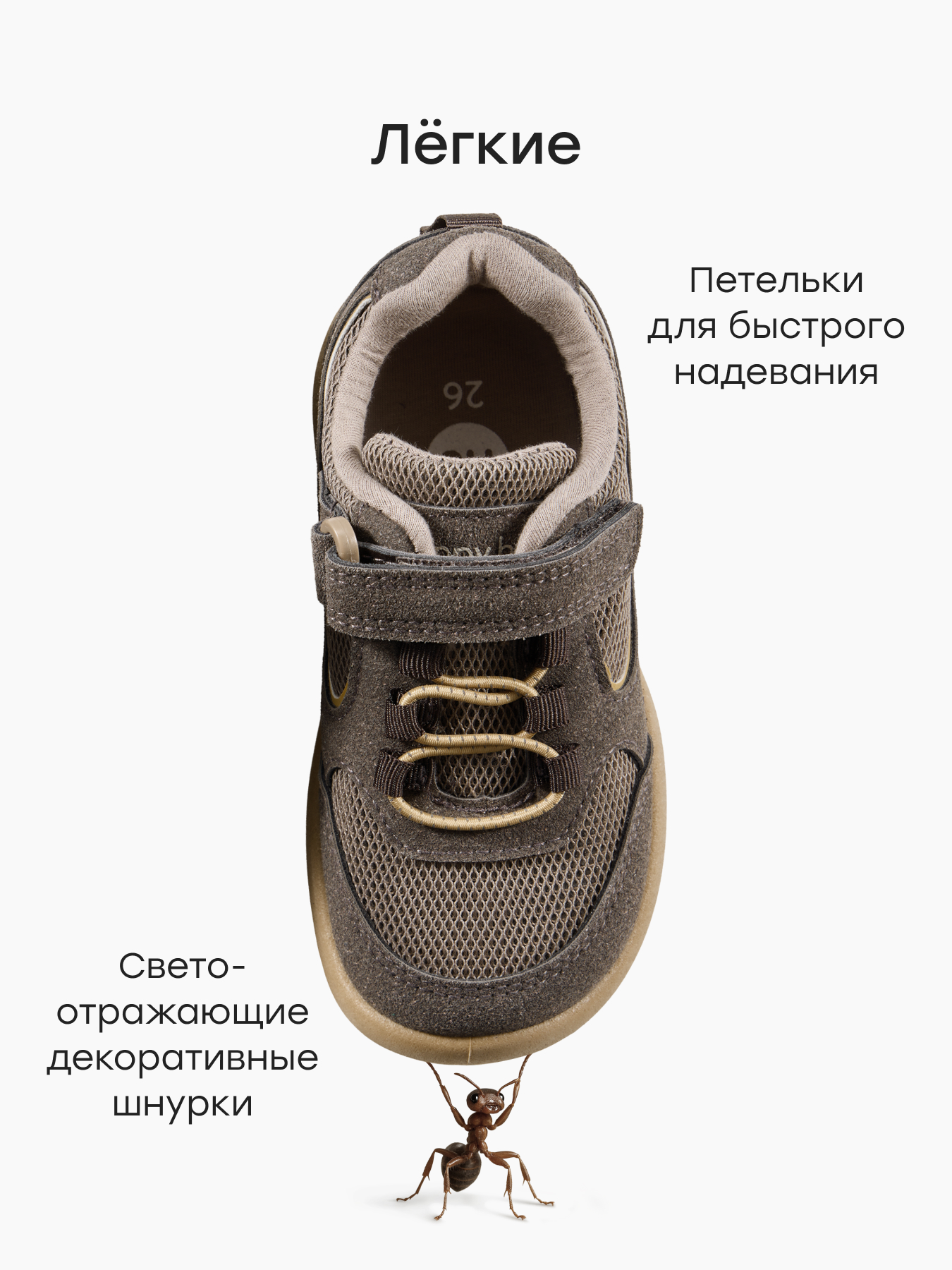 Кеды Happy Baby 86670_коричневый - фото 2