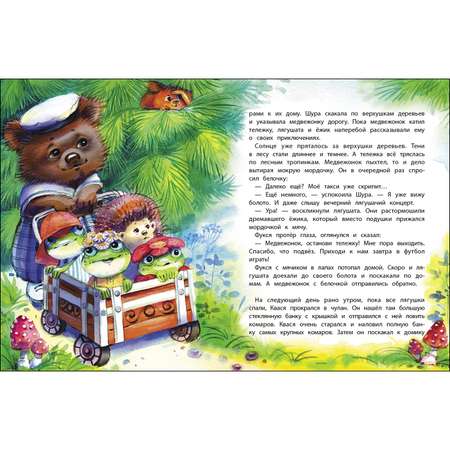 Книга СТРЕКОЗА Попробуй отбери
