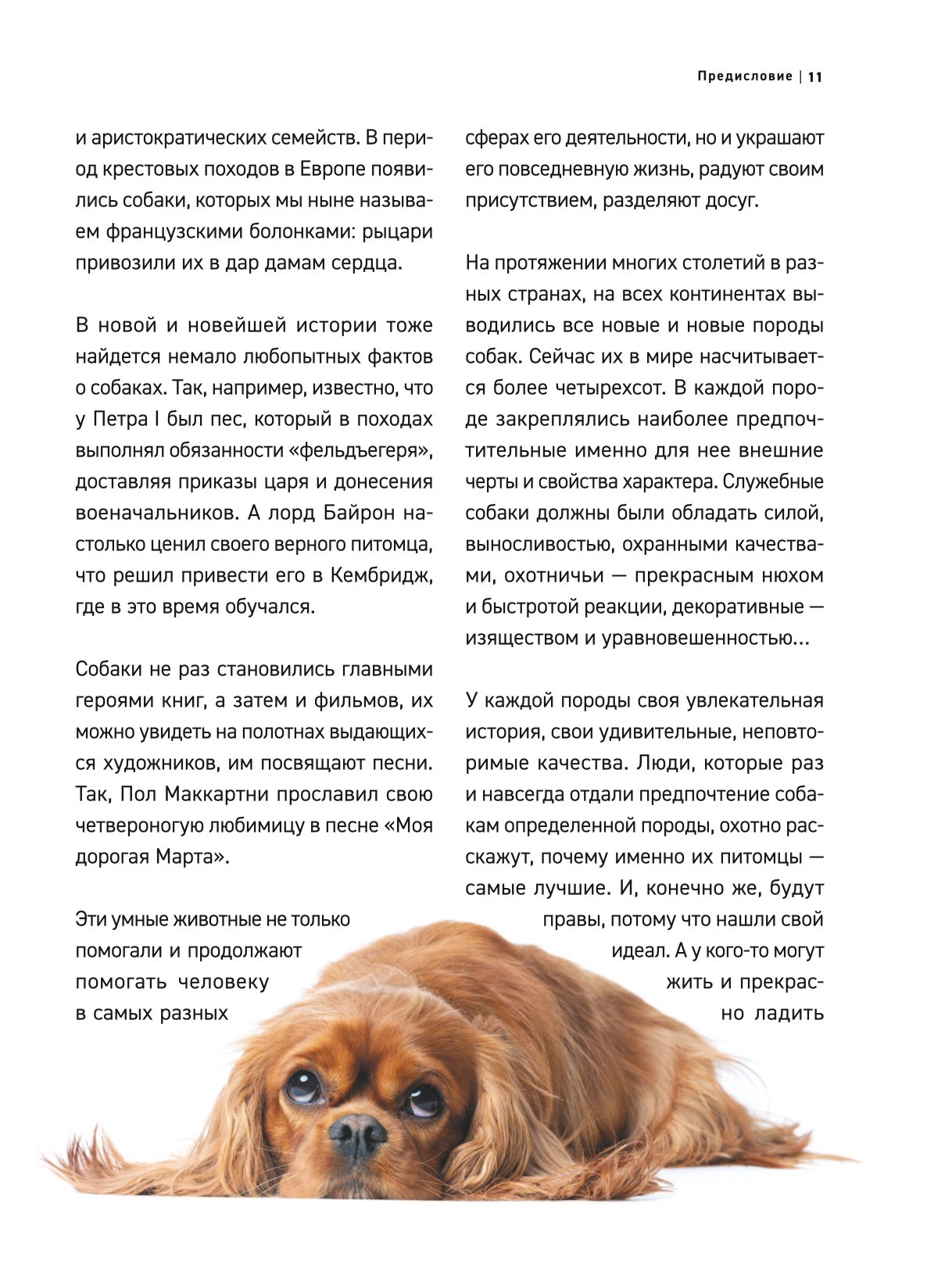 Книга ЭКСМО-ПРЕСС Все породы собак Большая иллюстрированная энциклопедия - фото 8