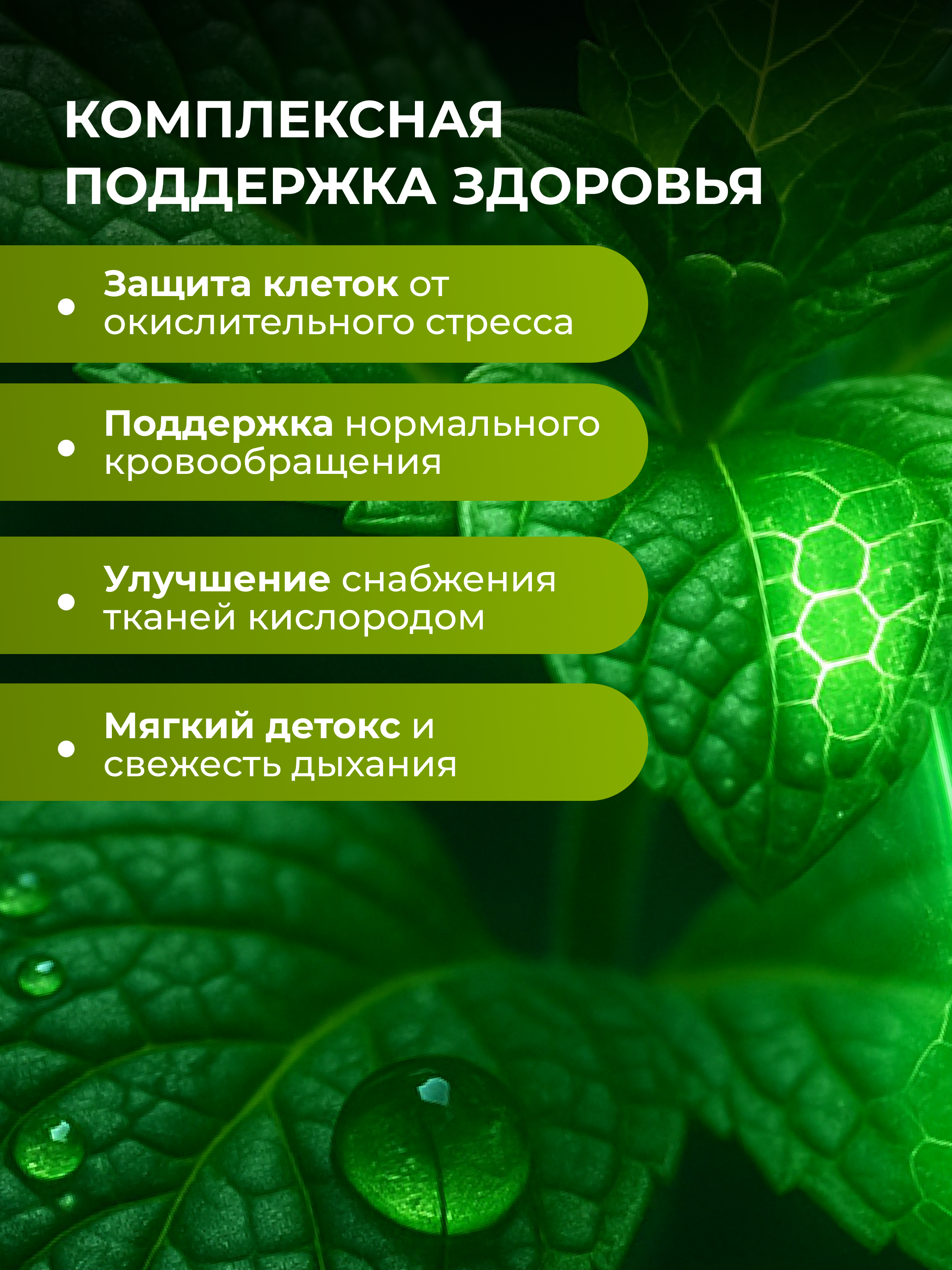 Жидкий концентрат ENBIO Хлорофилл - фото 2