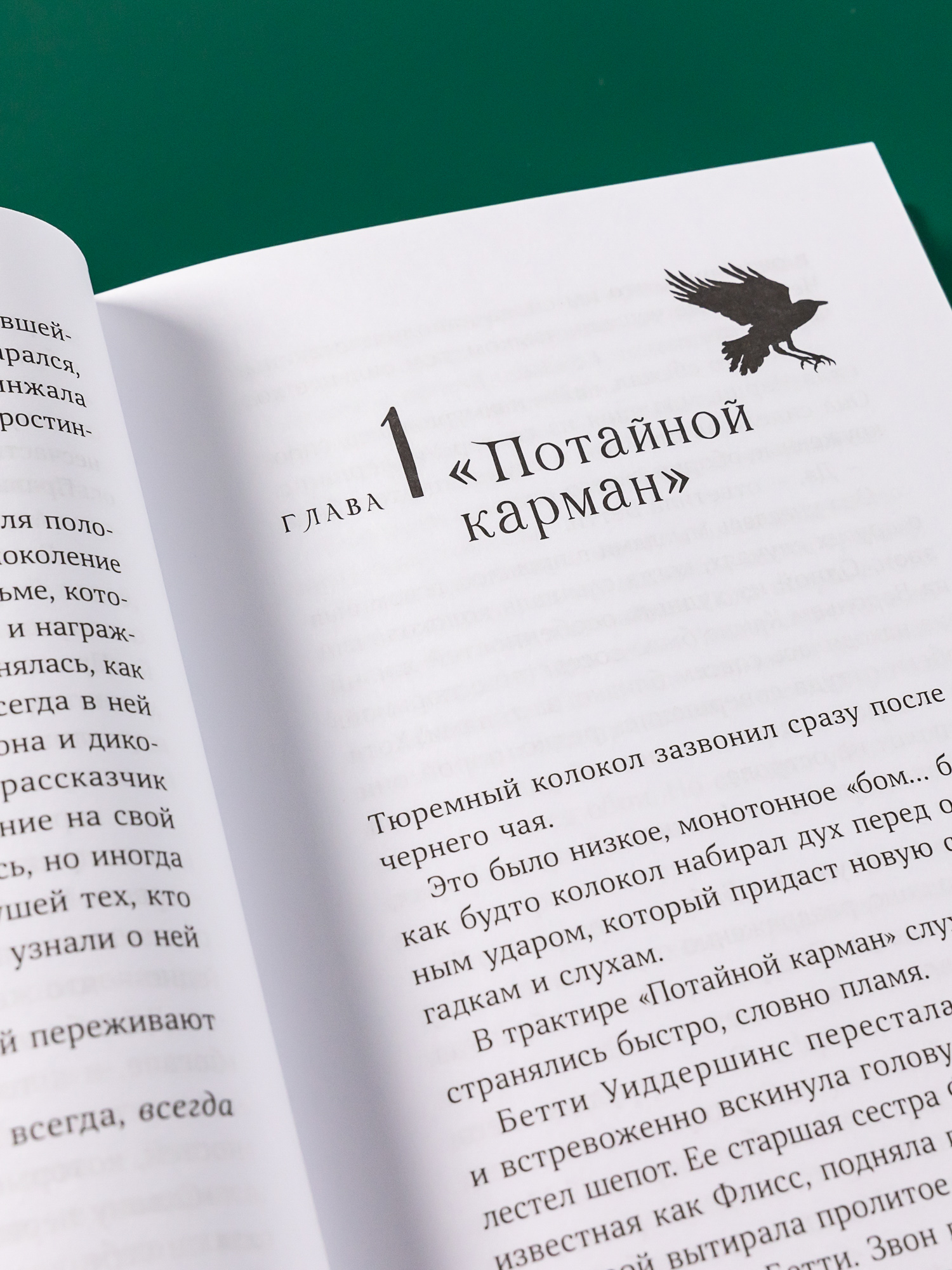 Книга Альпина. Дети Горстка волшебства - фото 18