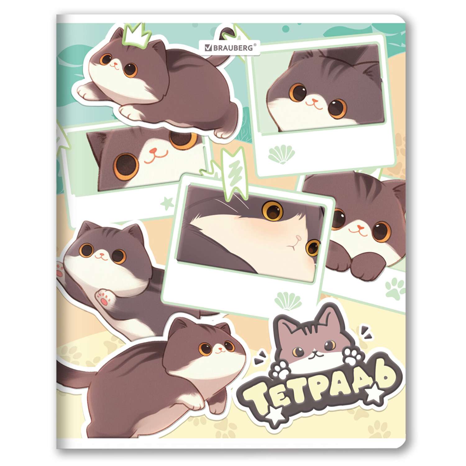 Тетрадь Brauberg клетка 48 лист. в ассортименте - фото 4