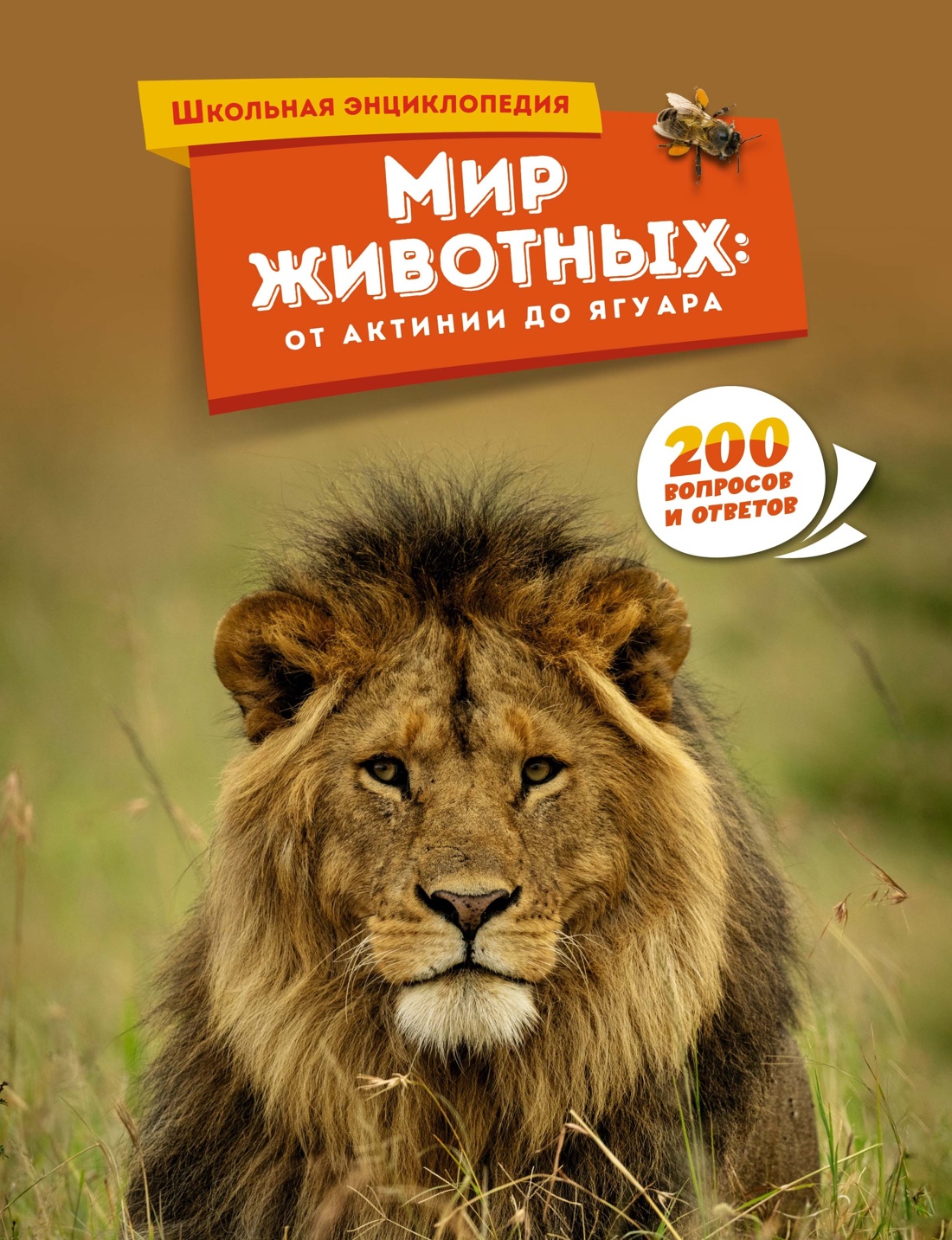 Книга Махаон Школьный комплект всезнайки из 3 х книг - фото 3