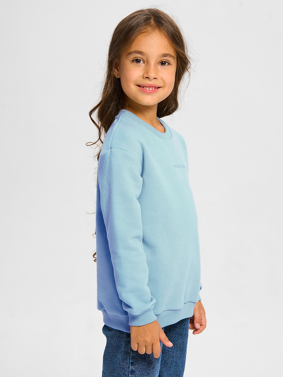 Свитшот Woodcoon WUWF3P0010небесно_голубой - фото 1